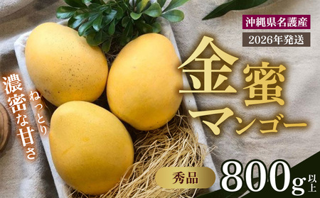 y2026N s\ ʌz}S[DɐHׂĂ炢I}S[ Gi800gȏ Gi s\  Ö x Z  yY ܂񂲁[ ݂ Mtg v[g ʎ