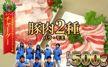 `\O[2Hה500gi250g×2Pj  `[O[ AO[ uh | W[V[ wV[ ꗿ Ԃ Xe[L [XJc o  ؓ lC Z  ؂