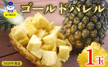 2026�N�����y���̉w���c�z�S�[���h�o����1�ʁ@��s�\�� �p�C�i�b�v�� �p�C���A�b�v�� �p�C�� �t���[�c �ʕ� �ʎ� �������� �X�C�[�c ��s�\�� �Y�n���� ������ ���y�Y �l�C ���� �ґ� �{