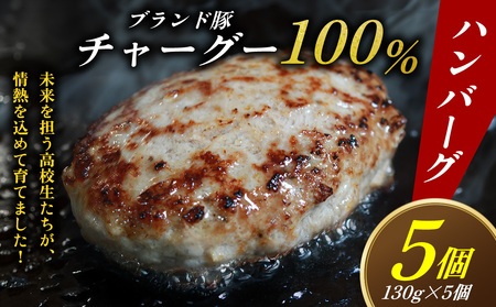 ブランド豚チャーグー100%「ハンバーグ」130g×5個 沖縄 ブランド豚 チャーグー 黒豚 アグー お肉 豚肉 希少 人気 惣菜 おかず 冷凍 応援 名護市 北部農林高校