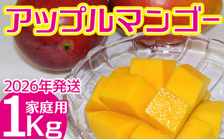 y2026Nz@ƒŔIAbv}S[1kgy͔_z t[c ʕ Ԍ ʌ s\ 썑 v[g yY ݂₰ Mtg  G Ȃ 