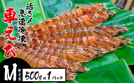 Y}ⓀԂсyMTCYz@500g×1pbN hg Ă VՂ tC }Ⓚ Gr Nx  {B uԗⓀ bk CY ܂ ܂ CV CN 