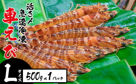 Y}ⓀԂсyLTCYz@500g×1pbN hg Ă VՂ tC }Ⓚ Gr Nx  {B uԗⓀ bk CY ܂ ܂ CV CN 