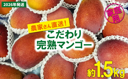 [2026年発送先行予約]こだわりのアップルマンゴー 家庭用1.5kg ふるいっと 数量限定 名護市 沖縄 フルーツ くだもの 果物 南国 スイーツ デザート 人気 おすすめ ギフト プレゼント 期間限定 おきなわ アップルマンゴー 家庭用 贈り物 大自然 お取り寄せ