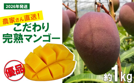 [2026年発送先行予約]こだわりのアップルマンゴー 優品1kg ふるいっと 数量限定 名護市 沖縄 フルーツ くだもの 果物 南国 スイーツ デザート 人気 おすすめ ギフト プレゼント 期間限定 おきなわ アップルマンゴー 優品 贈り物 大自然 お取り寄せ