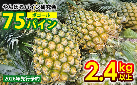 y2026Ns\zVTpCi{S[j2.4kgȏ pC pCibv pCAbv ꌧYpC t[c 썑t[c gsJt[c t[c ʕ  ʎ fU