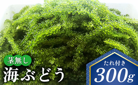 海ぶどう 茎無し海ぶどう 300g(たれ付き)