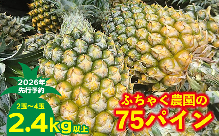 �y2026�N��s�\��z�ӂ��Ⴍ�_����75�p�C��2.4kg�ȏ� �p�C�� �p�C�i�b�v�� �p�C���A�b�v�� �X�i�b�N�p�C�� ���ꌧ�Y�p�C�� �t���[�c �썑�t���[�c �g���s�J���t���[�c ����t���[�c �ʕ� ��