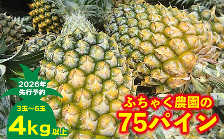 �y2026�N��s�\��z�ӂ��Ⴍ�_����75�p�C��4kg�ȏ� �p�C�� �p�C�i�b�v�� �p�C���A�b�v�� �X�i�b�N�p�C�� ���ꌧ�Y�p�C�� �t���[�c �썑�t���[�c �g���s�J���t���[�c ����t���[�c �ʕ� ����