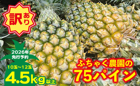 �y2026�N��s�\��z�y�󂠂�z�ӂ��Ⴍ�_����75�p�C��4.5kg�ȏ� �p�C�� �p�C�i�b�v�� �p�C���A�b�v�� �X�i�b�N�p�C�� ���ꌧ�Y�p�C�� �t���[�c �썑�t���[�c �g���s�J���t���[�c ����t���[