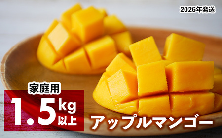 2026年発送 アップルマンゴー(家庭用)1.5kg以上[羽地の駅] 2026年 果物 沖縄 特産品 旬 マンゴー 家庭用 フルーツ 先行予約 夏 お取り寄せ 甘い おすすめ デザート おいしい 数量限定 期間限定 人気 令和8年 厳選
