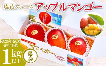 マンゴー[2026年発送先行予約]アップルマンゴー秀品1kg以上
