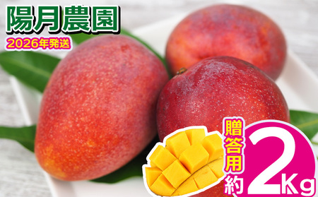 2026Nyz_z@p}S[ 2kg Ԍ ʌ s\ t[c ʕ 썑 v[g yY ݂₰ Mtg  G Ȃ  fU[g  lC 