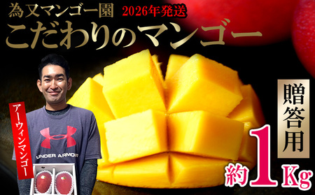 y2026Nzז}S[@p@̃}S[@1kg t[c ʕ Ԍ ʌ }S[ Mtg ݂₰ yY v[g 썑 fU[g  Ȃ  