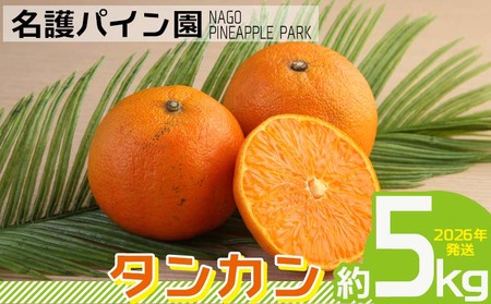 タンカン [2026年発送]タンカン 約5kg 名護パイン園