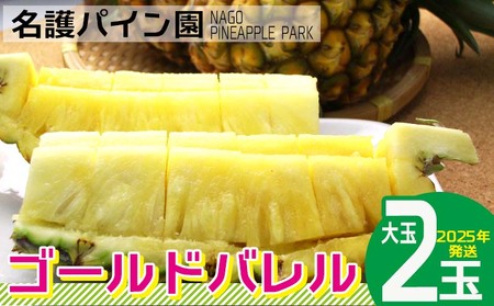 2025年発送【名護パイン園】　ゴールドバレル（大玉2玉） 先行予約　 パインアップル パイナップル 期間限定 数量限定 フルーツ くだもの 果物 贈答 贈り物 プレゼント 人気 おすすめ 南国 お土産 ギフト デザート 青果 沖縄 おきなわ 年末