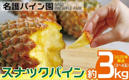 2025年発送【名護パイン園】　スナックパイン約3kg（3～4玉） 先行予約 パイナップル 甘い ジューシー デザート 取り寄せ 高級フルーツ 家族 子供 果物 旬 おすすめ ギフト 人気 家庭用 贈答用 母の日 ゴールドバレル 期間限定 年末 沖縄