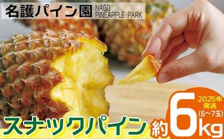 2025年発送【名護パイン園】　スナックパイン約6kg（6～7玉） 先行予約 パイナップル 甘い ジューシー デザート 取り寄せ 高級フルーツ 家族 子供 果物 旬 おすすめ ギフト 人気 家庭用 贈答用 母の日 ゴールドバレル 期間限定 年末 沖縄