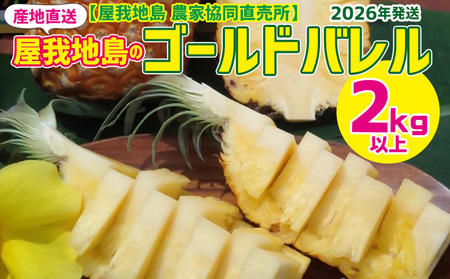 2026Nyn@_ƋzñS[ho@2kgȏ n  _ pCibv pC ς Y   n Mtg v[g ӂ邳Ɣ[ 