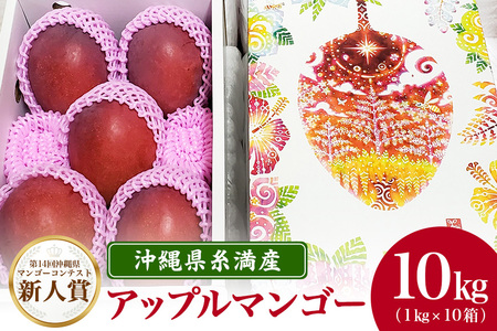 [2024年発送]沖縄県糸満産の「濃厚アップルマンゴー」10kg!(1kg×10箱)生産者:ゆいぐくるマンゴー