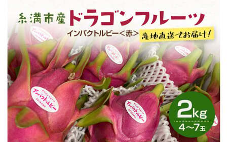 y2026NzsY uhSt[c CpNgr[ ԁv2kg (4`7) Y Yn ʎ ʕ  t[c 蕨 i  gsJt[c {  I