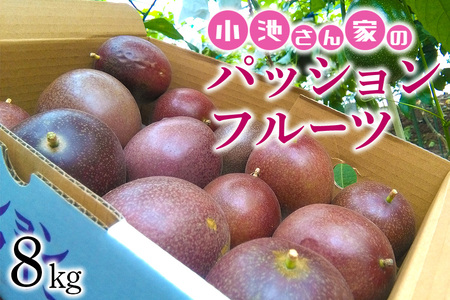 ys\ 2026NzrƂ pbVt[c  8kg ʕ t[c  8L  ʎ 썑t[c ꌧY  Â ܂ _ Yn _ƒ Y e