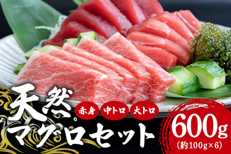 沖縄県産「旬のマグロ」をお届け!天然本マグロセット 600g