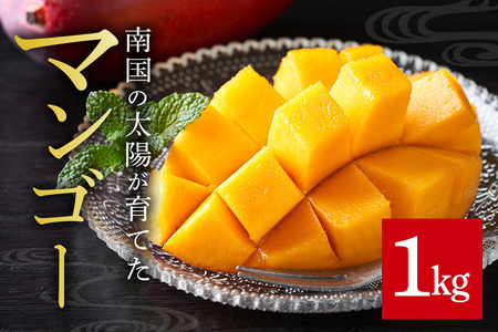家庭用マンゴー 1kg 沖縄県産 マンゴー 家庭用 1キロ 国産 完熟マンゴー 果物 南国 くだもの フルーツ 完熟 夏 旬 特産品 沖縄 お取り寄せ 産地直送 農家直送 甘い 濃厚 糸満市
