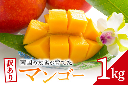 訳ありマンゴー 1kg 沖縄県産 マンゴー 訳あり 1キロ 訳アリ 国産 完熟マンゴー 果物 南国 くだもの フルーツ 完熟 夏 旬 特産品 沖縄 取り寄せ 産地直送 農家直送 甘い 濃厚 糸満市