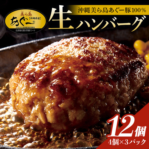 美ら島あぐー ハンバーグ 12個 セット 沖縄県 おかず 惣菜 アグー豚 使用 冷凍 4個×3パック 小分け おいしい 肉 糸満市 国産 肉汁 たっぷり ブランド豚 ジューシー 肉厚 お中元 ギフト プレゼント グルメ おつまみ ディナー オードブル 沖縄県 糸満市 61-21