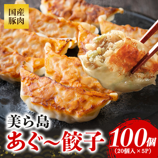 美ら島あぐー餃子 100個セット 20個入×5パック 絶品 こだわり 豚 肉 国産 ごはん おかず お弁当 冷凍 ぎょうざ ギョウザ 小分け BBQ ギョーザ 惣菜 晩酌 ギフト 手作り 生餃子 豚肉 冷凍食品 おつまみ 冷凍餃子 ブランド豚 総菜 中華 焼き餃子 沖縄県 糸満市 61-26
