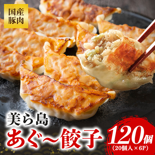美ら島あぐー餃子 120個セット 20個入×6パック 絶品 こだわり 豚 肉 国産 ごはん おかず お弁当 冷凍 ぎょうざ ギョウザ 小分け BBQ ギョーザ 惣菜 晩酌 ギフト 手作り 生餃子 豚肉 冷凍食品 おつまみ 冷凍餃子 ブランド豚 総菜 中華 焼き餃子 沖縄県 糸満市 61-27