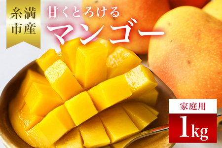 【 先行予約 2025年 発送 】 訳あり 沖縄県 糸満産 かねよし マンゴー アーウィンマンゴー 1kg 訳アリ 訳あり品 沖縄県産 アップルマンゴー 国産 完熟マンゴー 果物 くだもの フルーツ 完熟 夏 特産品 沖縄 産地直送 農家直送 甘い 濃厚 糸満市