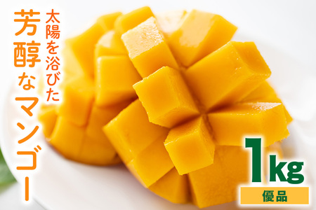 [ 先行予約 2026年 発送] 沖縄の太陽を浴びた芳醇なマンゴー 1kg ( 優品 ) 沖縄県産 マンゴー アップルマンゴー アーウィン 1キロ 国産 完熟 果物 南国 くだもの フルーツ 完熟 夏 旬 沖縄 お取り寄せ 産地直送 農家直送 糸満市