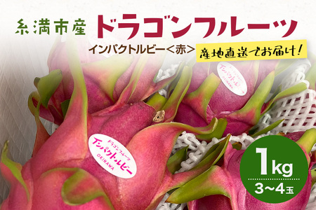 y2026NzsY uhSt[c CpNgr[ ԁv1kg (3`4) Y Yn ʎ ʕ  t[c 蕨 i  gsJt[c {  I