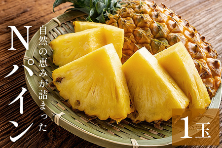 Nパイン1玉 自然の恵み詰まったパイナップル