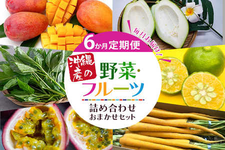 [定期便]6か月間毎月お届け!沖縄産の野菜・フルーツ詰め合わせ おまかせセット