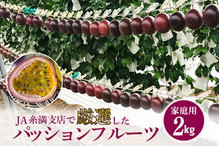 【2024年発送】JA糸満支店で厳選した「パッションフルーツ」家庭用　約2kg