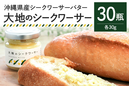 [大容量セット] 沖縄県産 シークワーサーバター「大地のシークワーサー」 30瓶入り フルーツバター 沖縄 果物 ジャム 朝食 フルーツ パン デザート スイーツ 酸味 甘み ギフト プレゼント 大容量 セット 沖縄県 糸満市