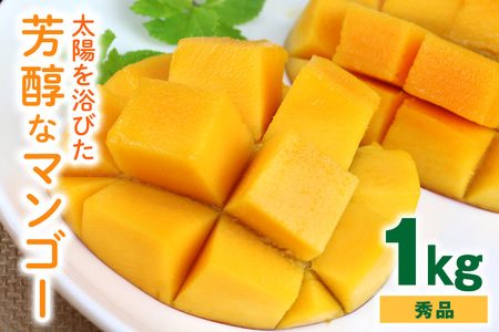 【2022年発送】沖縄の太陽を浴びた芳醇なマンゴー 1kg