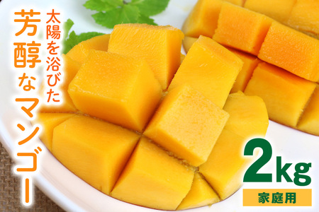 【2022年発送】沖縄の太陽を浴びた芳醇なマンゴー 2kg（ご家庭用）