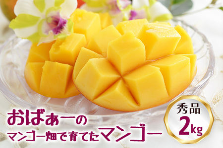 【 先行予約 2025年 発送 】 おばぁーのマンゴー畑で育てた マンゴー 2kg ( 秀品 ) 沖縄県産 アップルマンゴー アーウィンマンゴー 2キロ 国産 完熟マンゴー 果物 くだもの フルーツ 完熟 夏 旬 沖縄 お取り寄せ 産地直送 農家直送 甘い 糸満市