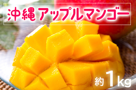 [ 先行予約 2025年 発送 ] お手頃 「沖縄 アップルマンゴー 」 1kg 沖縄県産 マンゴー アーウィンマンゴー 1キロ 国産 完熟 果物 南国 くだもの フルーツ 完熟 夏 旬 お取り寄せ 産地直送 農家直送 甘い 濃厚 糸満市