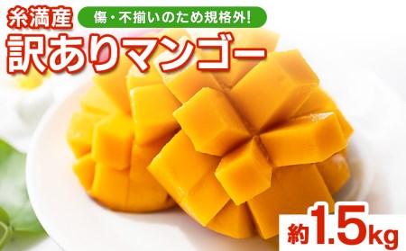 【訳あり品】沖縄県産マンゴー　約2.8キロ