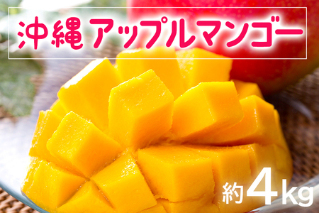[ 先行予約 2025年 発送 ]お手頃 「沖縄 アップルマンゴー 」 4kg 沖縄県産 マンゴー アーウィンマンゴー 4キロ 国産 完熟 果物 南国 くだもの フルーツ 完熟 夏 旬 お取り寄せ 産地直送 農家直送 甘い 濃厚 糸満市
