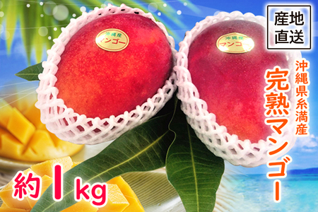 【2023年発送】沖縄県糸満産　完熟マンゴー約1kg