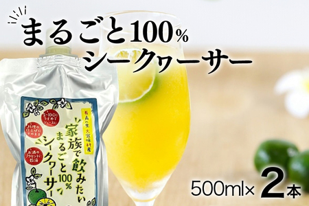 家族で飲みたいまるごと 100% シークヮーサー 500ml ×2本 (パウチタイプ) シークワーサー ジュース 果汁 ストレート 原液 常温保存 シークヮーサージュース シークワーサージュース 沖縄県産 沖縄 果実 まるごと絞り フルーツ 果物 沖縄県 糸満市