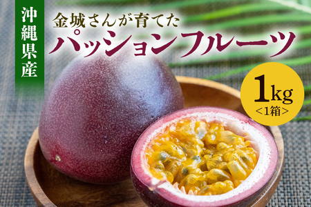 y2026Nz邳񂪈Ă@ꌧYpbVt[c@1kg