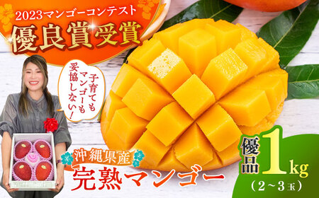 [2023年優良賞]沖縄県産 完熟マンゴー 優品 1kg (2〜3玉) マンゴー 沖縄市 / MAIFARM マンゴーマンゴーマンゴーマンゴー[BCAN003]