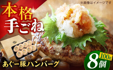 沖縄県産 あぐー豚 ハンバーグセット 800g (100g×8個) ハンバーグ ハンバーグ ハンバーグ ハンバーグ ハンバーグ